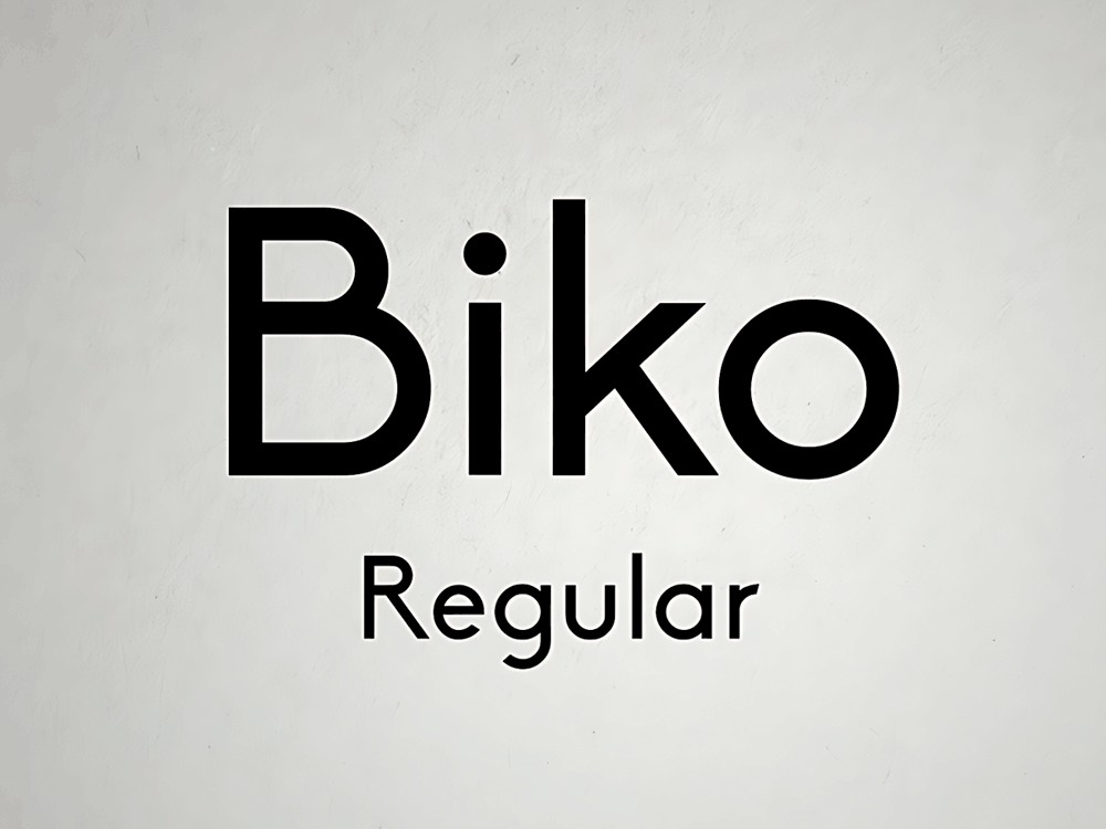 Elegant Sans Serif Font - Biko