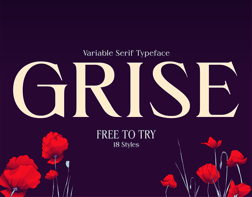 Grise Elegant Serif Font